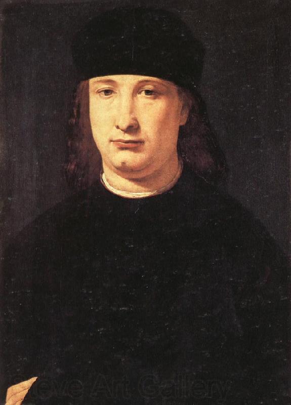 BOLTRAFFIO, Giovanni Antonio Portrait of a Magistrate France oil painting art
